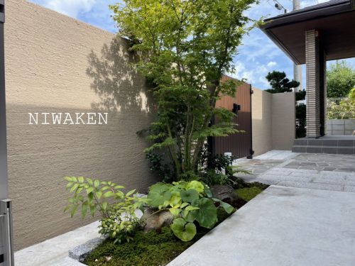 玄関先の癒しの植栽