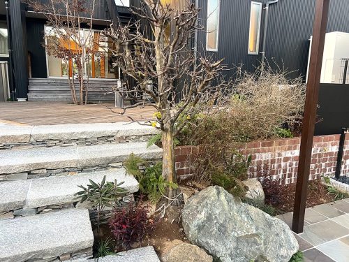 ステップと植栽